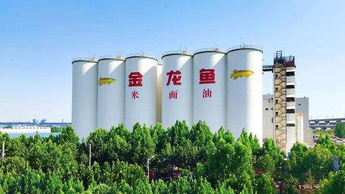 益海嘉里金龍魚八赴進博之約 以科技健康雙輪驅動，三季度業(yè)績穩(wěn)中有進